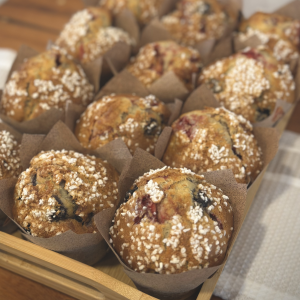 Muffin of the Day