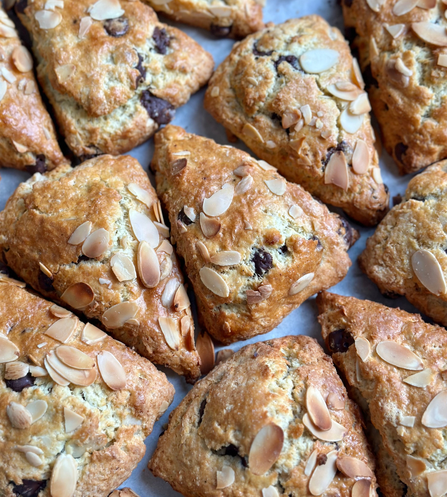 scone-du-jour-produit-boutique-fermiere